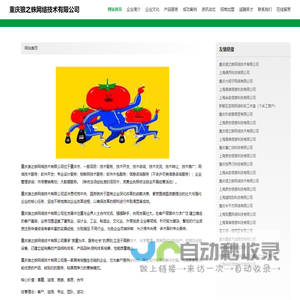 重庆狼之蛛网络技术有限公司